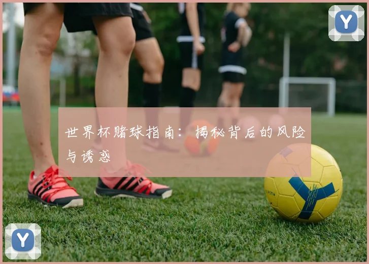 世界杯赌球指南：揭秘背后的风险与诱惑