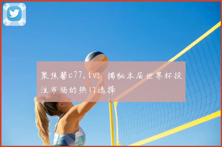 聚焦馨c77,tv:揭秘本届世界杯投注市场的热门选择
