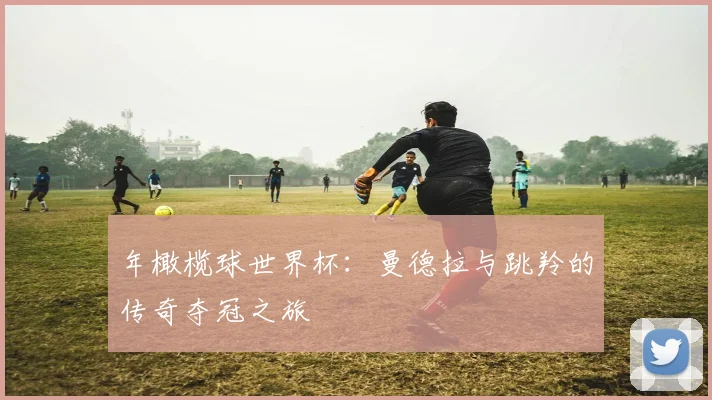 年橄榄球世界杯：曼德拉与跳羚的传奇夺冠之旅